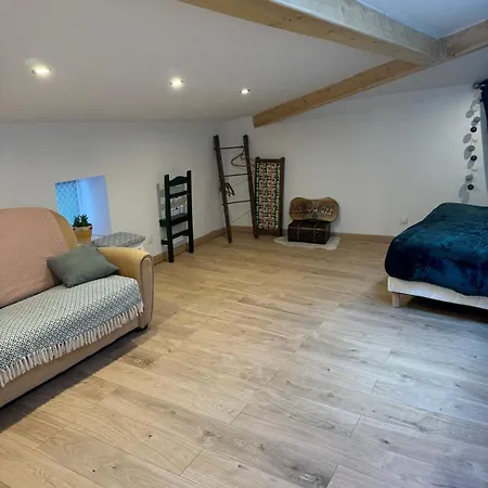 Le Pat' Toit A La Traboule Holiday home