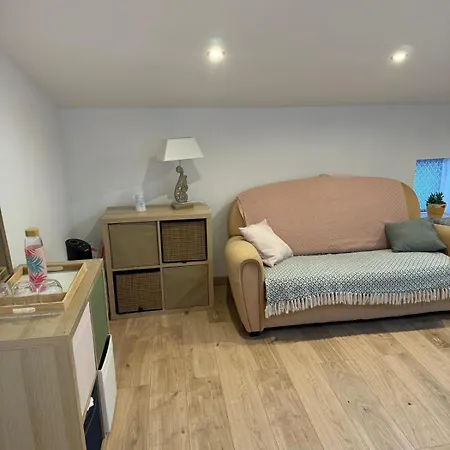 Le Pat' Toit A La Traboule Aurec-Sur-Loire