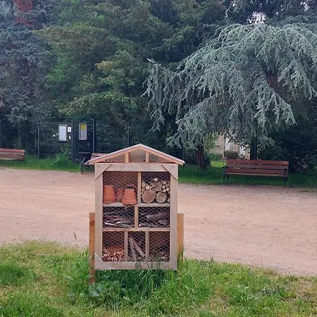 Le Pat' Toit A La Traboule Holiday home *
