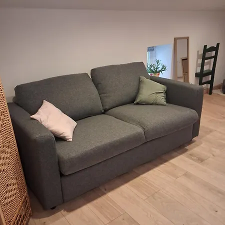 Le Pat' Toit Сasa de vacaciones Aurec-Sur-Loire