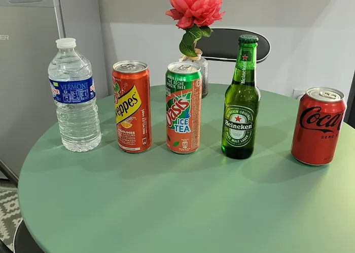 Vakantiehuis Le Pat' Toit Aurec-Sur-Loire