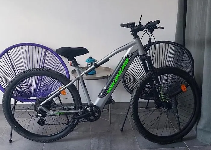 Vakantiehuis Le Pat' Toit *